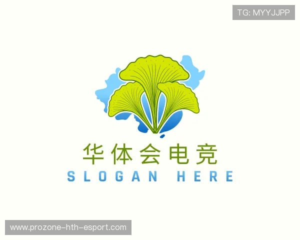 介绍华体会电竞